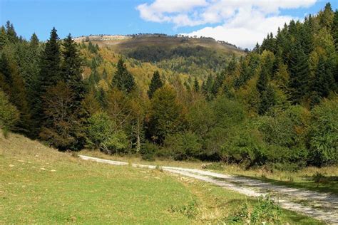 ruta errekaidorra|Precioso sendero temático en la Selva de Irati pasando por la。